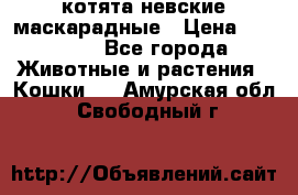 котята невские маскарадные › Цена ­ 18 000 - Все города Животные и растения » Кошки   . Амурская обл.,Свободный г.